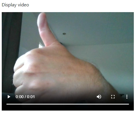 Example of recorded-video in SOP